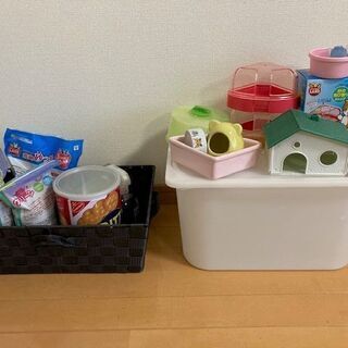 ハムスター飼育セット （さしあげます）