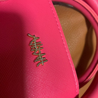 バック6点の画像