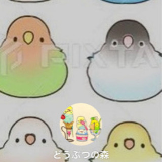 動物好きの方語りましょ(*^^*)