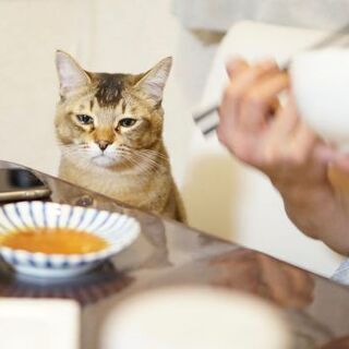 気楽に楽しくカフェレッスンorオンラインレッスン　中国語