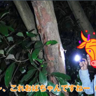 昆虫に知識のある方募集！ - 名古屋市