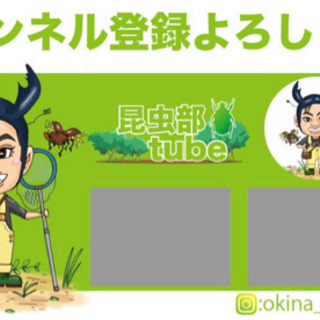 昆虫に知識のある方募集！ - その他