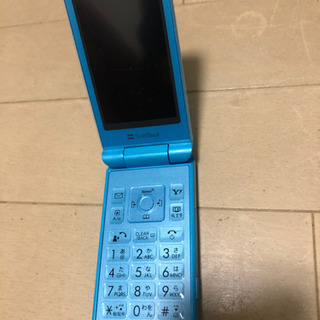 携帯の画像