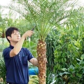 ◆未経験歓迎・3月末までの短期募集◆植物メンテナンスの珍しい仕事...