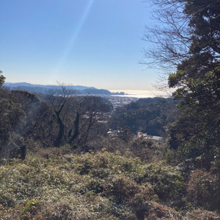 ハイキング仲間募集