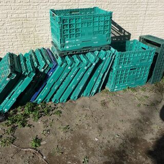 折り畳み　コンテナ　あげます。農作業　水切りなど便利です。