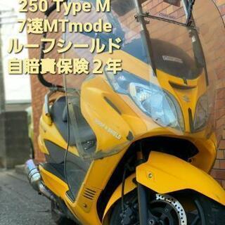 スズキ　スカイウェイブ　SKYWAVE　250　TYPEM　CJ...