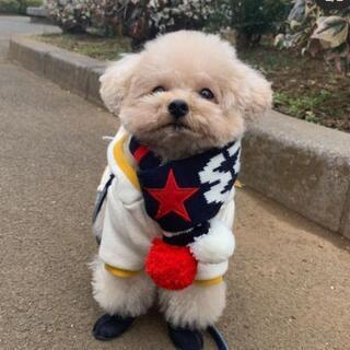 女友達募集❤️