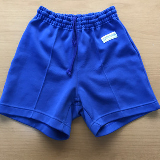 体操服　西唐津小　男子の画像