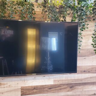 出品は2/26まで！Hisense液晶テレビ