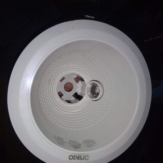 未使用 ODELIC ダウンライト OD058002 5個 + OD062564 1個 計6個セットの画像