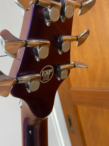 ESP オーダー品 6弦ベース