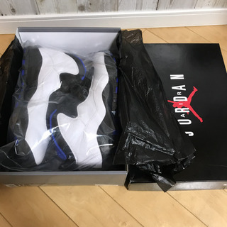エアージョーダン10  29㎝