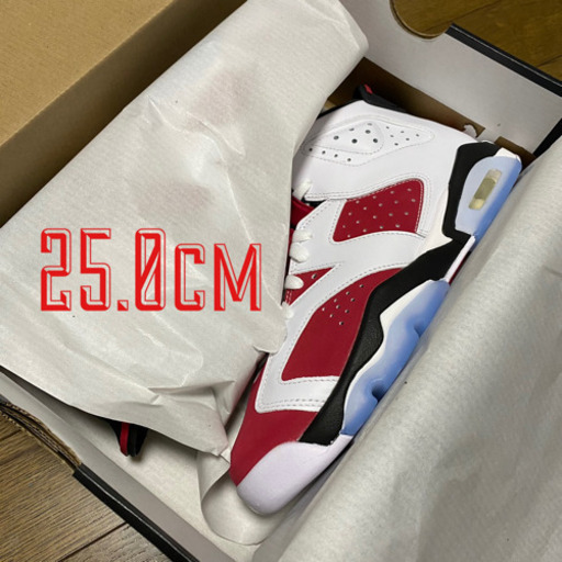 【25.0】NIKE AIR JORDAN 6 GS / ナイキ エアジョーダン6 gs