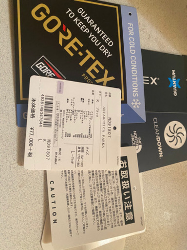 ノースフェイス　アンタークティカパーカL