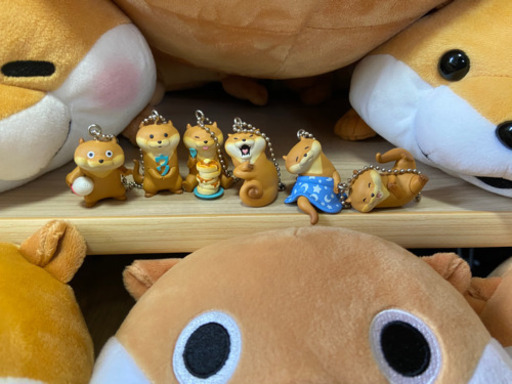 可愛い嘘のカワウソ 大量ぬいぐるみ大処分セット 超激安