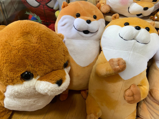可愛い嘘のカワウソ　大量ぬいぐるみ大処分セット　超激安 可愛い嘘のカワウソ 大量ぬいぐるみ大処分セット 超激安