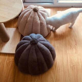 犬猫用ベッドの画像