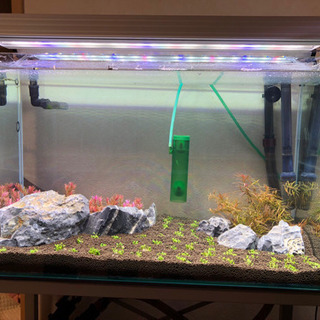 黒光石売ります。の画像