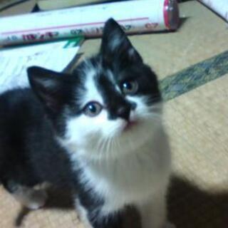 長く話せる人 メール待ってます