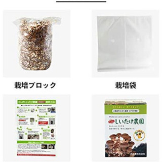 ⬛️ 今 大流行！！⬛️ 新品・きのこ キノコ しいたけ シイタケ 椎茸 栽培キット！！⬛️の画像