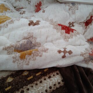 こたつセットまとめてお譲りします(こたつ･上･中･敷布団すべて)の画像