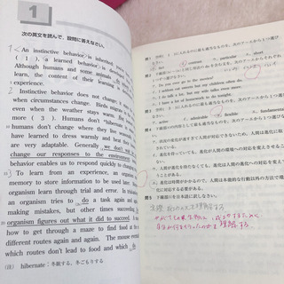 やっておきたい英語長文300の画像