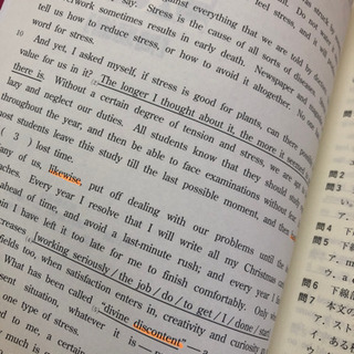 やっておきたい英語長文300の画像