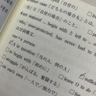 やっておきたい英語長文300の画像