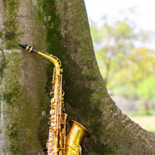 【無料体験あり】吹奏楽、JAZZ特化のオンラインサックスレッスン