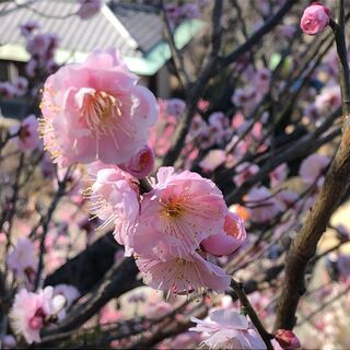 話し相手になっているくれる人