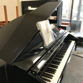 ヤマハ　DGP-7の画像