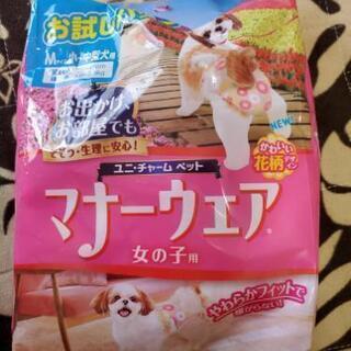 犬用マナーウェア女の子Mサイズ