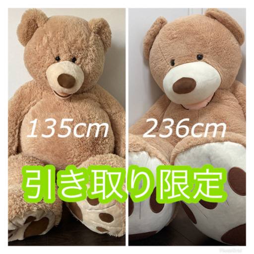 コストコ　135 236