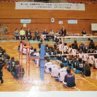 精神障がい者バレーボールクラブの画像