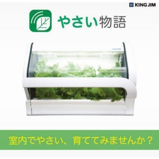 LED野菜栽培装置