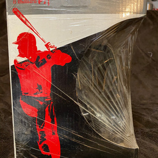 TEAM Ai グローブの画像