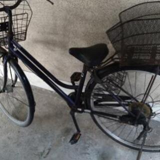 自転車【決定】