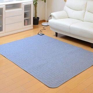 ホットカーペット 1.5畳用　切忘れタイマー　ダニ除去機能　小さ...