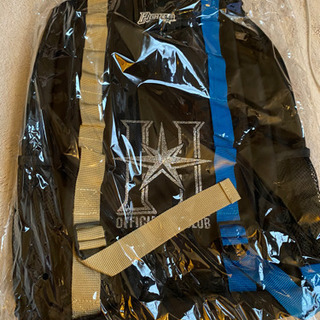 日ハム　ファイターズ　バッグ  リュックの画像