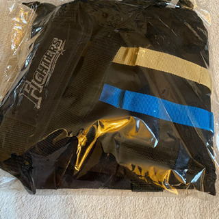 日ハム　ファイターズ　バッグ  リュックの画像