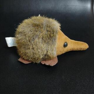 アリクイ?オーストラリアのお土産の画像