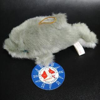 サメ?オーストラリアのお土産