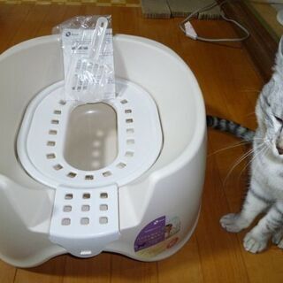リッチェル　コロル　節約簡単ネコトイレ　ベージュ
