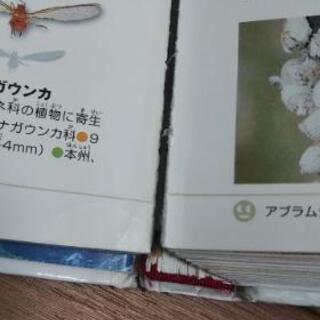 学研の図鑑  水の生き物、昆虫、鉄道と船、世界の昆虫、はじめての伝記101の画像