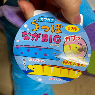 ウツボ ぬいぐるみの画像