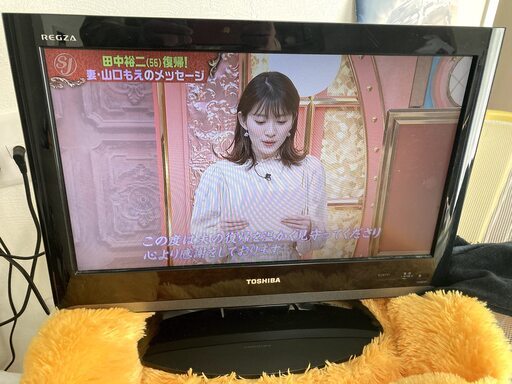 19インチのテレビ　19a8000