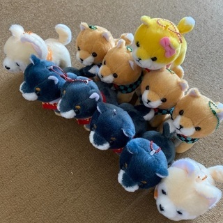 鬼滅犬セット