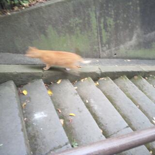 ちょっとした趣味を一緒に楽しめますか？