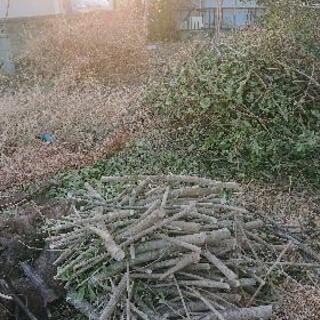 一軒家の庭の片付けをお願いします